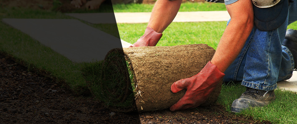 Florence Landscapers